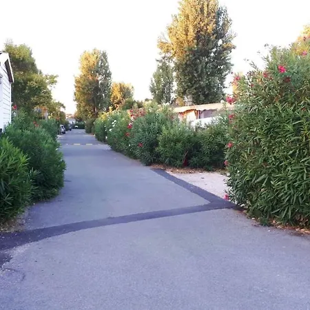 Bungalow De 3 Chambres A Frejus Avec Piscine Partagee Terrasse Amenagee Et Wifi A 5 Km De La Plage Frejus